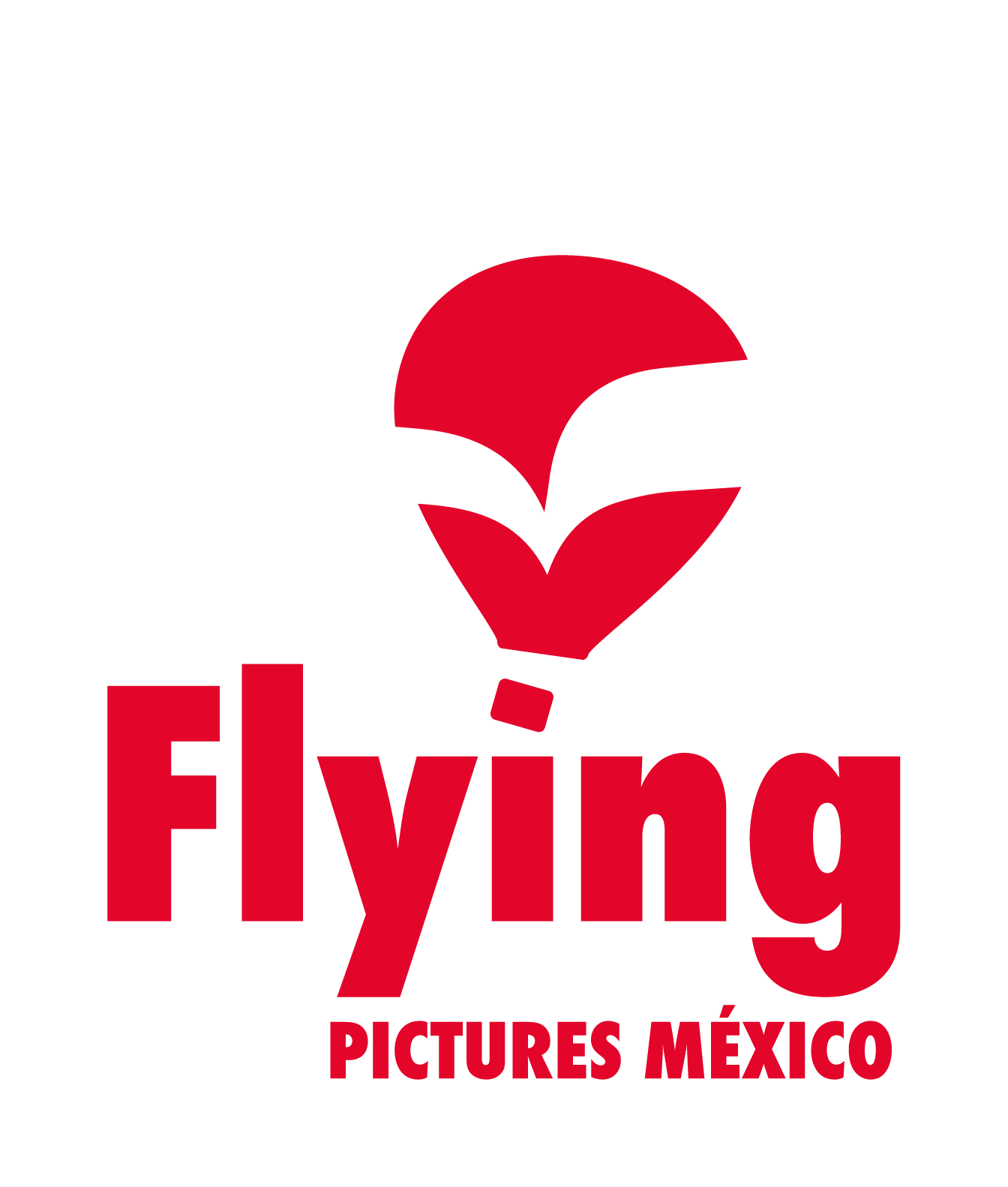 Flying Pictures Logo